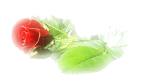 pour la liline a moi