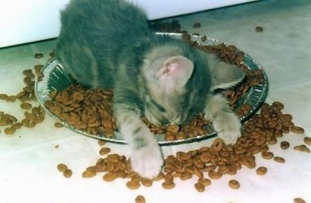 le pauvre il et aussi fatigu� bonne nuit bisoux