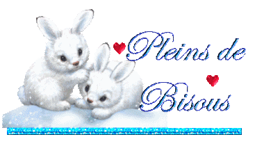 je vous souhaite un tres bon dimanche gros bisoux