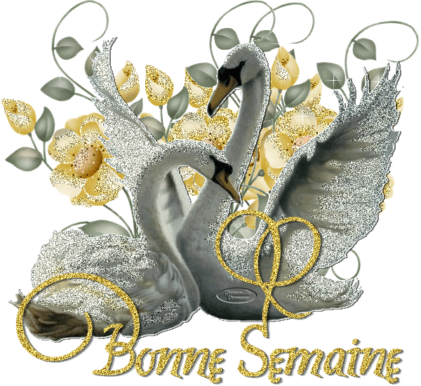 bonne semaine a toute et a tous