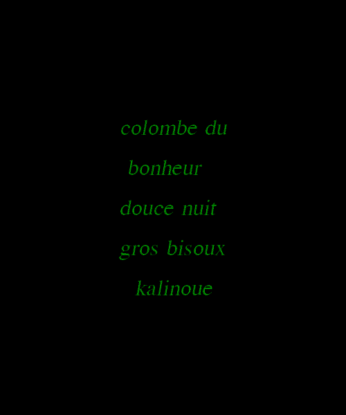 un petit rien sur une rose