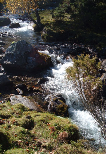 le torrant d'automne