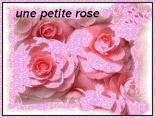 je vous ime gros gros comme ca