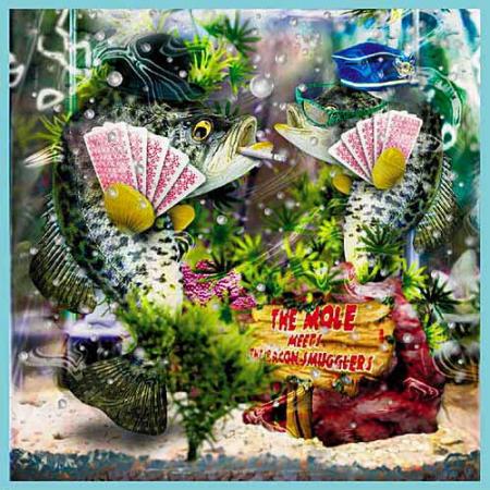 je vous souhaite une tres bonne journ�e