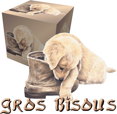 jolie cadeaux recus de mes amie merci du fond du coeur