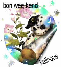 tres bon wee-kend bisoux