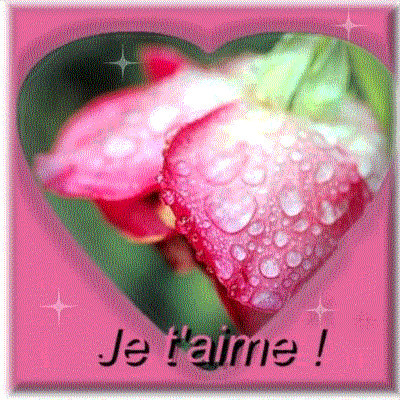 toi mon amour je t'aime