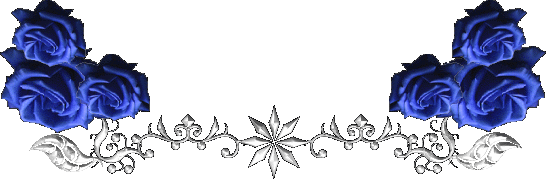 je vous souhaite un joyeux reveillon de noel